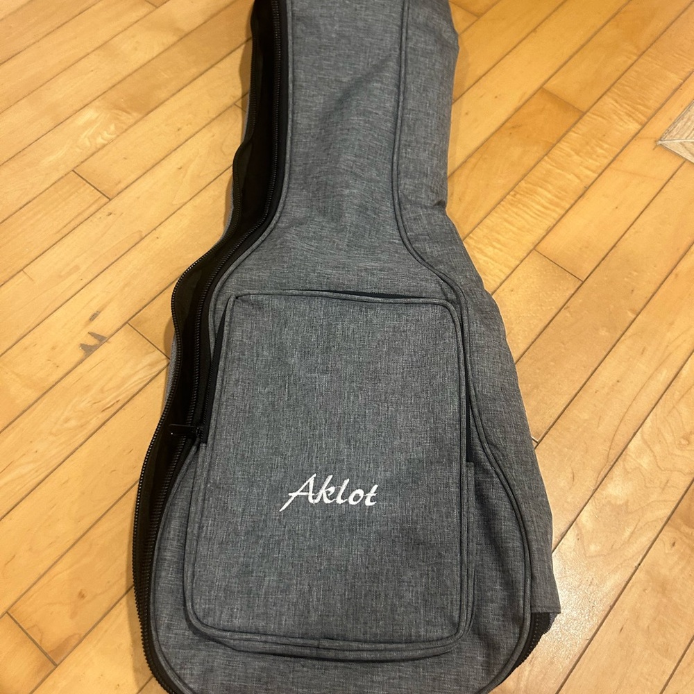 Ukulele case